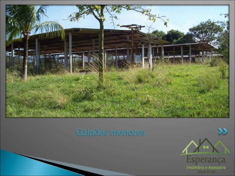 Cópia de Sítio Meninos de Ouro - Moacyr_page-0042.jpg