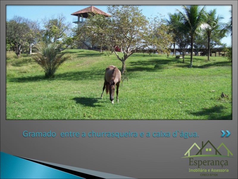 Cópia de Sítio Meninos de Ouro - Moacyr_page-0030.jpg