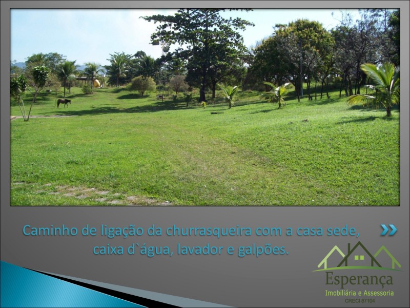 Cópia de Sítio Meninos de Ouro - Moacyr_page-0031.jpg