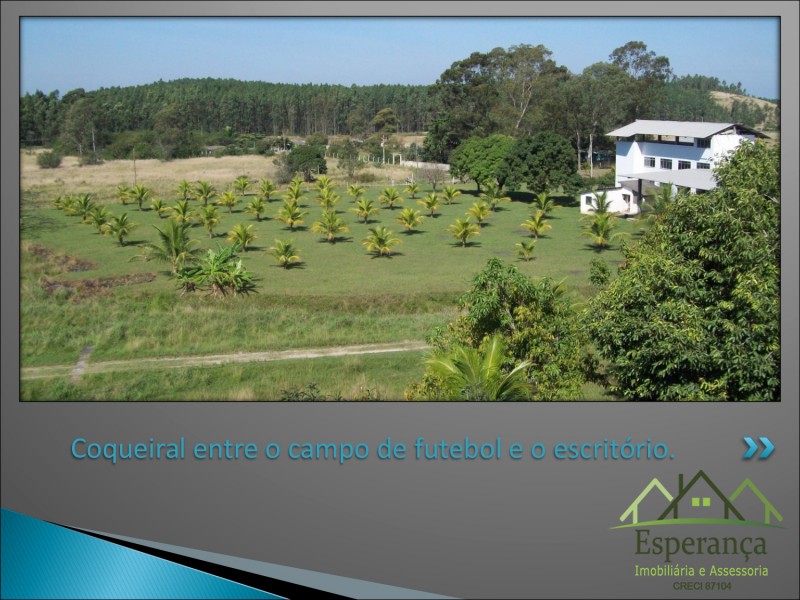 Cópia de Sítio Meninos de Ouro - Moacyr_page-0008.jpg